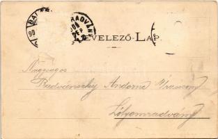 1904 Balassagyarmat, Megyeház. Wertheim Zs. kiadása (Rb)