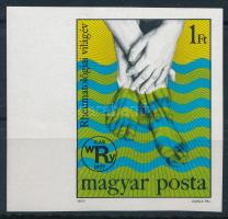 1977 Rheumatológiai világév ívszéli vágott bélyeg