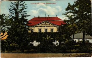 1918 Nagymihály, Michalovce; Gróf Sztáray kastély. Emmanuel Rosenberg kiadása / castle (EK)