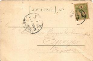 1904 Lejtava, Zsolnalitva, Lietava (Vágvölgy, Povazie); vár. Gansel Lipót 183. / Hrad Lietava / cast...