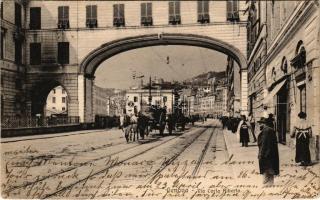 1908 Genova, Genoa; Via Carlo Alberto / street view, shops (EK)