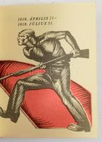 A Magyar Tanácsköztársaság Vörös Hadseregének hadműveleti naplója. 1919. április 21 - 1919. július 3...