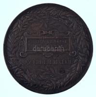 Schwartz István (1851-1924) 1885. "Országos Általános Kiállítás Budapesten 1885 / Rütgers Guidó...