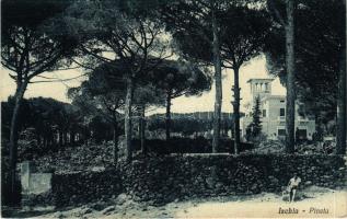 Ischia, Pineta / villa, hotel