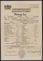 Tanítóképző bizonyítvány