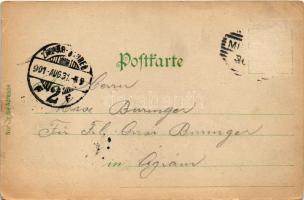 1901 Millstatt am See, general view (tears)