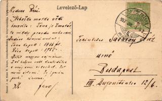 1907 Körmöcbánya, Kremnitz, Kremnica; látkép, zsinagóga. Paxner J. és Biron H. kiadása / general vie...