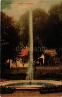 1909 Vihnye, Vihnyefürdő, Kúpele Vyhne; Részlet az alsó parkból, szökőkút. Joerges kiadása / park, f...