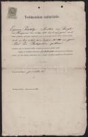 1876 Bp., a Piarista Gimnázium által kiállított érettségi bizonyítvány Pásztélyi Jenő (1853-1924) ké...