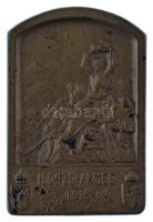 1915. Osztrák-Magyar Monarchia "Isonzó-hadsereg 1915" bronz sapkajelvény, hátoldalán &quot...