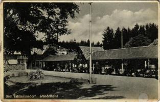 1933 Tarcsa, Tarcsafürdő, Bad Tatzmannsdorf; Wandelhalle / fedett sétány. Friedrich Reiss kiadása / ...