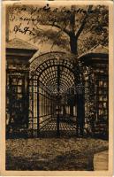 1924 Wien, Vienna, Bécs; K. k. Theresianische Akademie, Gittertor / academy, gate (small tear)