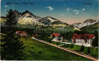 1918 Matlárháza, Matliary, Tatranské Matliare (Magas-Tátra, Vysoké Tatry); villák / villas (EK)