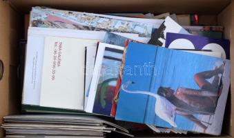Egy cipősdoboznyi vegyes MODERN motívum képeslap / a shoe box of modern motive postcards