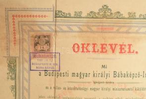 1901 M. kir. bábaképző nagy méretű oklevele hajtva. 46x60 cm