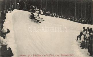 Schierke Bobsleighing