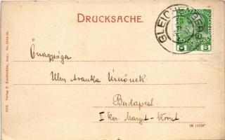 1912 Bad Gleichenberg (Steiermark), Panorama. Verlag F. Knollmüller (cut)