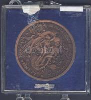 1983. "MÉE Salgótarján-Madách Imre" Br matt emlékérem plastiktokban T:1
