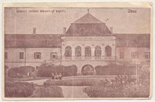 Zsibó, Jibou; Castelul contelui / Báró Wesselényi kastélya / castle (fa)