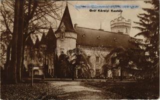 Nagykároly, Carei; Gróf Károlyi kastély. S. Eigner / castle + "Nonn János gyógyszertára a Szent...