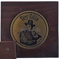 1991. "Téry Ödön" egyoldalas, részben festett bronz emlékérem, hátoldalon "7. Barabás...
