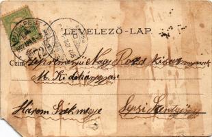 1902 Budapest VIII. Magyar Nemzeti Múzeum, Arany János szobor. litho (b)