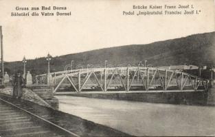 Dornavátra Franz Joseph bridge