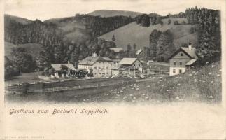 Luppitsch restaurant (EK)
