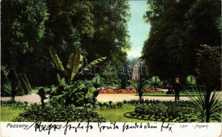 1905 Pozsony, Pressburg, Bratislava; Liget / Aupark. Verlag "Bediene dich allein" / park (...
