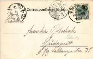 1905 Wien, Vienna, Bécs; Gruss vom Heurigen in Nussdorf. Verlag von Rudolf Wolf / restaurant with lo...