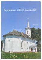 Székely Ferenc: Templomra szállt bánatmadár (Pusztakamarási magyarok). Kolozsvár, 2011. Kriterion. 2...