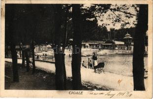 Mali Losinj, Lussinpiccolo; Cigale (fl)