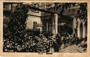 1918 Mali Losinj, Lussinpiccolo; Cigale, Sanatorio / szanatórium / sanatory (ázott / wet damage)