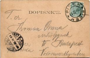 1901 Písek, Pomník, Palackého. Vydal J. Hoffmann / square (EK)