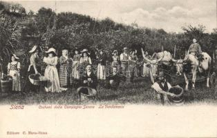 Harvesting in the Sienese countryside (EK)