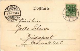 1899 Braunschweig, Verlag Richard Borek / view (EK)