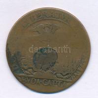 1686. "Buda visszafoglalása" kétoldalas, bronz emlékérem. "BVDA CAPTA." (29mm) T...