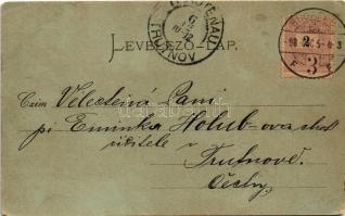 1898 Budapest I. Kir. várbazár, várkert este holdfényben. Stengel &amp; Co. (EB)
