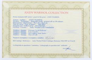 Andy Warhol (1928-1987): Mickey Mouse. Ofszet litográfia, papír, jelzett a nyomaton. Kézzel sorszámo...
