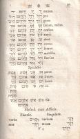 Reineccius, Christian: 
Grammaticae hebraeo-chaldaicae, a Christ. Reineccio harmonice et synoptice ...