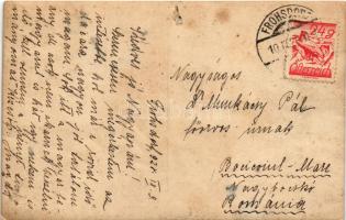 1928 Frohsdorf (Lanzenkirchen) (Niederösterreich), Pensionat Sta Christiana, Westseite / girls'...