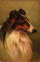 Dog art postcard No 11. s: Arthur Wardl