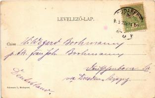 1905 Budapest I. Várkerti sétány, Lánchíd. Schwarz I. kiadása (Rb)