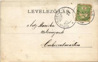 1905 Hídalmás, Hida; látkép. A képeslap címzettje Ady Mariska (1888-1977), Ady Endre unokatestvére, ...