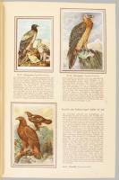 Kosmos Zigarettenbilder Bunte Vögel Aus Aller Welt Teil 1-2. Memmingen, én., Kosmos.
Albumonként 15...