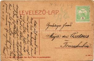 Csanádpalota, Állami elemi iskola. W.L. Bp. 5446. M. Buja Gyula kiadása (szakadások / tears)
