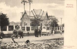 Working Elephants in Bangkok