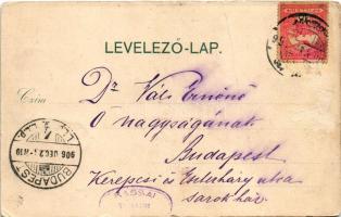1906 Szarvas, Gróf Bolza kastély (fa)