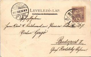 1900 Fiume, Rijeka; Zichy tér / Piazza Zichy / square (kis szakadás / small tear)