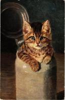 Cat in a beer mug s: M. Stock